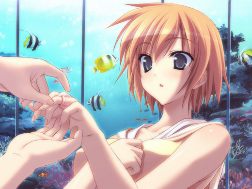 191555 (a): :1024x768